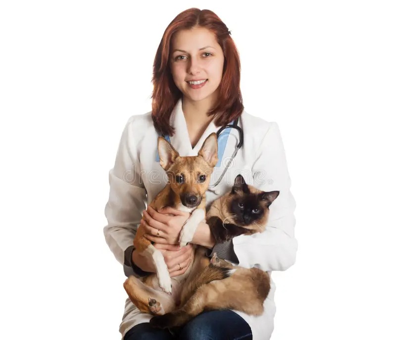 New Dog to pussycats