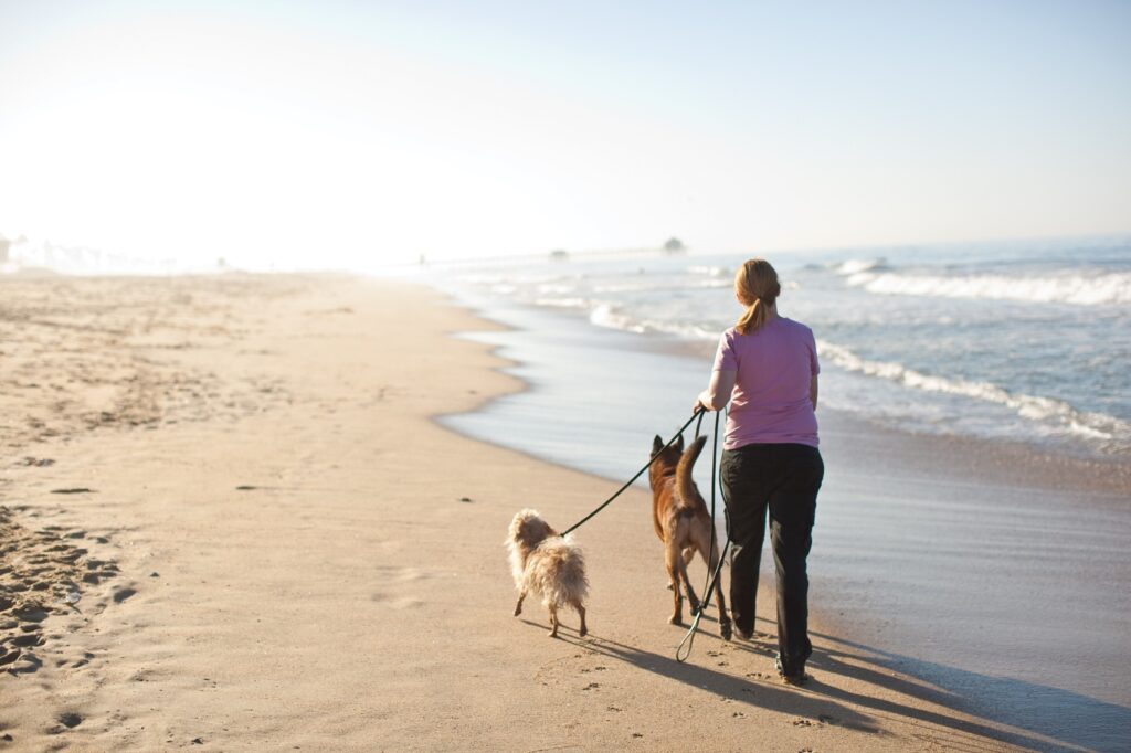 Petsmart Adoption Weekend